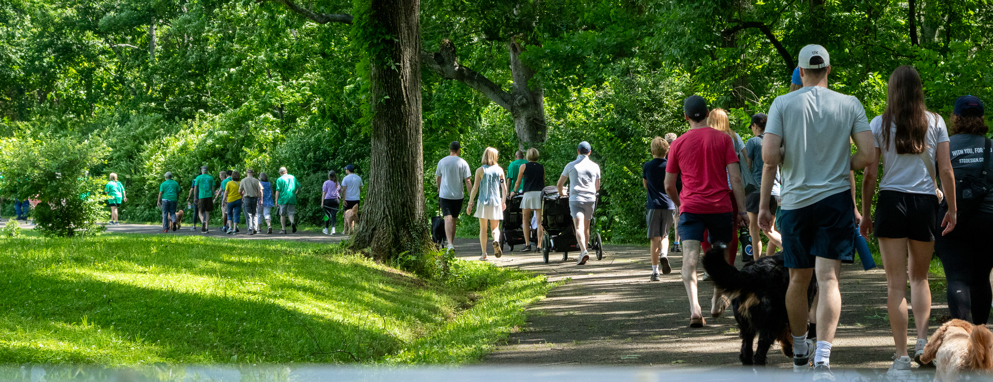 Walk in the Woods 2026